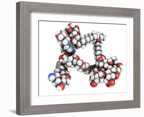 Palytoxin Molecule-Laguna Design-Framed Photographic Print