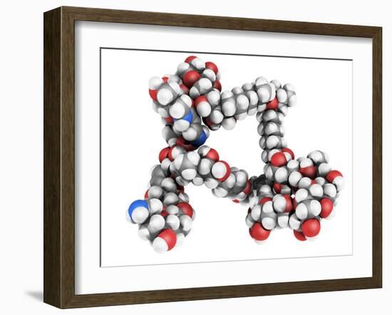 Palytoxin Molecule-Laguna Design-Framed Photographic Print