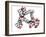 Palytoxin Molecule-Laguna Design-Framed Photographic Print