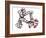 Palytoxin Molecule-Laguna Design-Framed Photographic Print