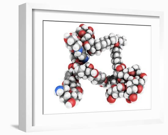 Palytoxin Molecule-Laguna Design-Framed Photographic Print