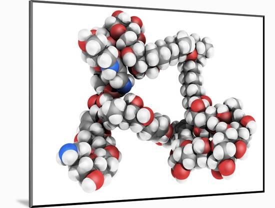 Palytoxin Molecule-Laguna Design-Mounted Photographic Print