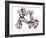 Palytoxin Molecule-Laguna Design-Framed Photographic Print