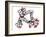 Palytoxin Molecule-Laguna Design-Framed Photographic Print