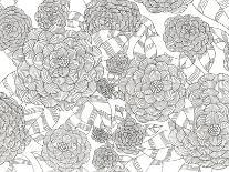 Wild Hydrangeas Less-Pam Varacek-Art Print