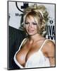 Pamela Anderson-null-Mounted Photo