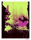 Collectable Print