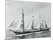 Photographic Print