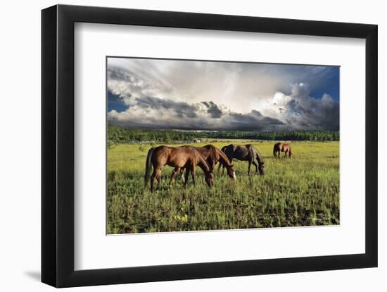 Pammie’s Pasture-Barry Hart-Framed Art Print