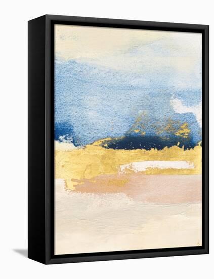 Pampa II-Sue Jachimiec-Framed Stretched Canvas