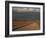 Pampa, Llalqui, Atacama, Chile, South America-R Mcleod-Framed Photographic Print