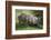 Pampas cat (Leopardus colocola) La Pampa Province, Argentina-Gabriel Rojo-Framed Photographic Print