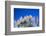 Pampas grass, Cannon Beach, Oregon, USA-Panoramic Images-Framed Photographic Print