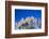 Pampas grass, Cannon Beach, Oregon, USA-Panoramic Images-Framed Photographic Print