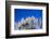 Pampas grass, Cannon Beach, Oregon, USA-Panoramic Images-Framed Photographic Print