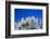 Pampas grass, Cannon Beach, Oregon, USA-Panoramic Images-Framed Photographic Print