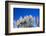 Pampas grass, Cannon Beach, Oregon, USA-Panoramic Images-Framed Premium Photographic Print