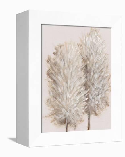 Pampas Grass III-Tim OToole-Framed Stretched Canvas