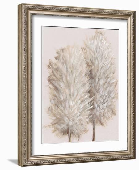 Pampas Grass III-Tim OToole-Framed Art Print