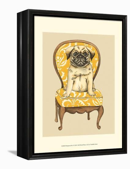 Pampered Pet I-Chariklia Zarris-Framed Stretched Canvas