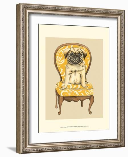 Pampered Pet I-Chariklia Zarris-Framed Art Print