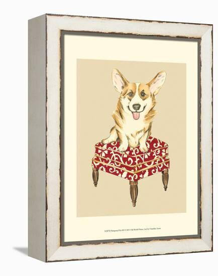 Pampered Pet III-Chariklia Zarris-Framed Stretched Canvas