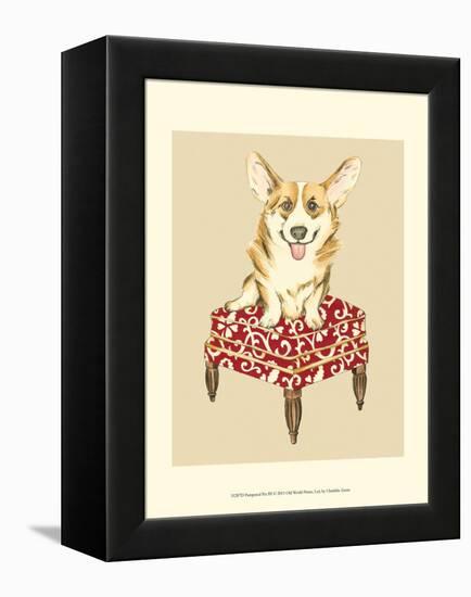 Pampered Pet III-Chariklia Zarris-Framed Stretched Canvas