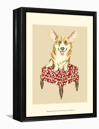 Pampered Pet III-Chariklia Zarris-Framed Stretched Canvas