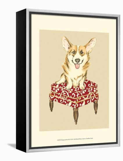 Pampered Pet III-Chariklia Zarris-Framed Stretched Canvas