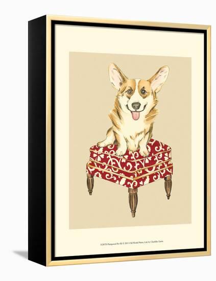 Pampered Pet III-Chariklia Zarris-Framed Stretched Canvas