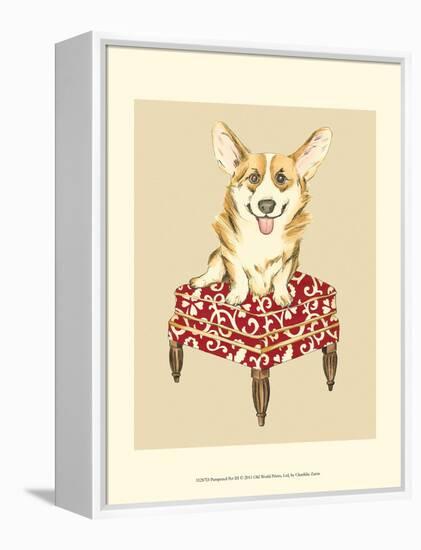 Pampered Pet III-Chariklia Zarris-Framed Stretched Canvas