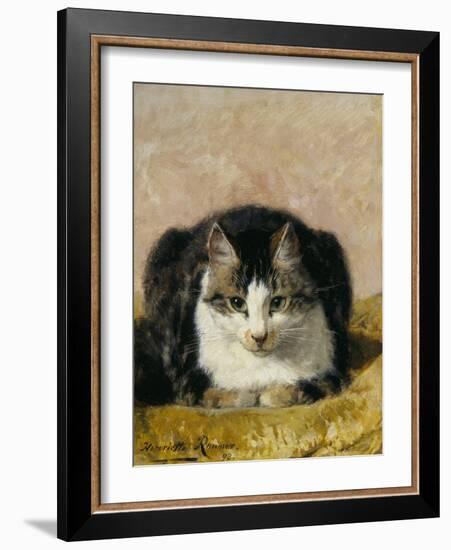 Pampered Pet-Henriette Ronner Knip-Framed Giclee Print