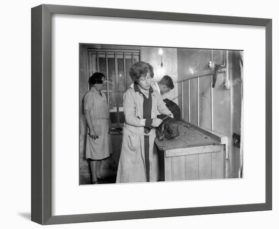 Pampered Pets-null-Framed Photographic Print