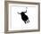 Pamplona Bull I-Rosa Mesa-Framed Art Print