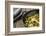 Pan-Fried Brussels Sprouts in Cast-Iron Frying Pan on Wooden Table-Jana Ihle-Framed Photographic Print