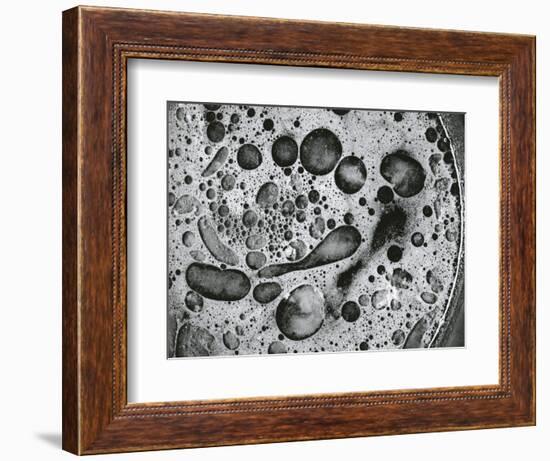 Pan Grease, California, 1976-Brett Weston-Framed Photographic Print