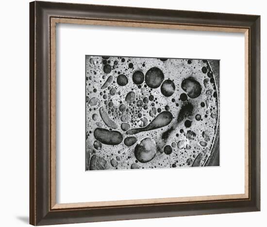 Pan Grease, California, 1976-Brett Weston-Framed Photographic Print