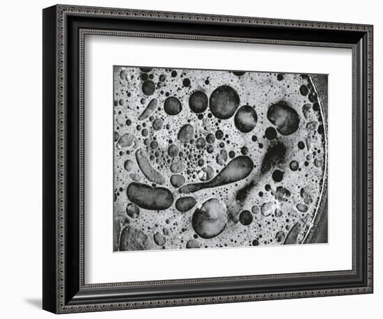 Pan Grease, California, 1976-Brett Weston-Framed Photographic Print