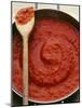 Pan of Home-Made Tomato Sauce-Steve Baxter-Mounted Photographic Print