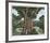 Pan's Oak-Thomas Mcknight-Framed Limited Edition