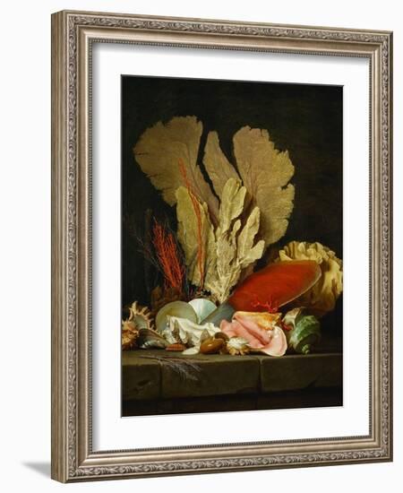 Panaches de mer, lithophytes et coquilles-Still-life with shells and coral Canvas, 130 x 97 cm-Anne Vallayer-coster-Framed Giclee Print