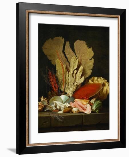 Panaches de mer, lithophytes et coquilles-Still-life with shells and coral Canvas, 130 x 97 cm-Anne Vallayer-coster-Framed Giclee Print