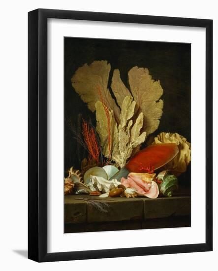 Panaches de mer, lithophytes et coquilles-Still-life with shells and coral Canvas, 130 x 97 cm-Anne Vallayer-coster-Framed Giclee Print