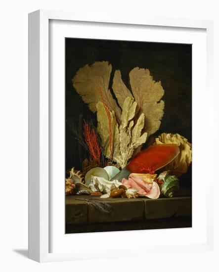 Panaches de mer, lithophytes et coquilles-Still-life with shells and coral Canvas, 130 x 97 cm-Anne Vallayer-coster-Framed Giclee Print