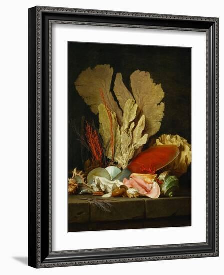 Panaches de mer, lithophytes et coquilles-Still-life with shells and coral Canvas, 130 x 97 cm-Anne Vallayer-coster-Framed Giclee Print