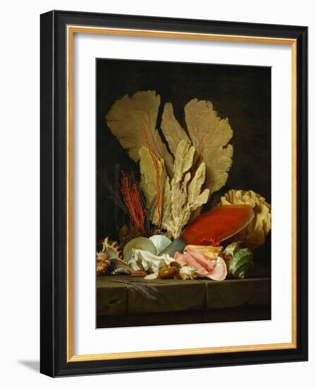 Panaches de mer, lithophytes et coquilles-Still-life with shells and coral Canvas, 130 x 97 cm-Anne Vallayer-coster-Framed Giclee Print