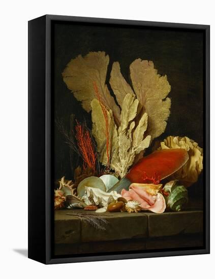 Panaches de mer, lithophytes et coquilles-Still-life with shells and coral Canvas, 130 x 97 cm-Anne Vallayer-coster-Framed Premier Image Canvas