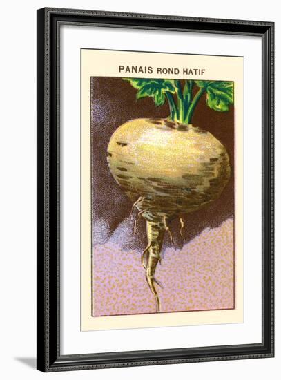 Panais Rond Hatif-null-Framed Art Print