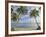 Panama, Bocas Del Toro Province, Carenero Island, Palm Trees and Beach-Jane Sweeney-Framed Photographic Print