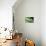 Panama, Central Panama, Barro Colorado Island, Green Parrot Snake-Christian Ziegler-Photographic Print displayed on a wall